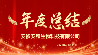 安徽安和2021年度總結(jié)、述職及簽狀大會(huì)